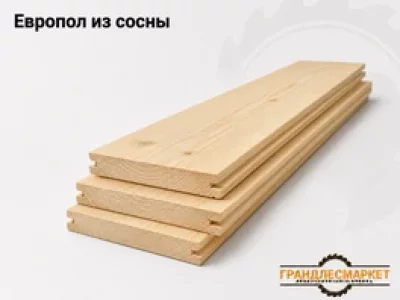 фото Европол из сосны