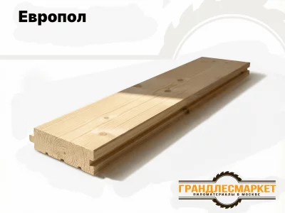 фото Европол