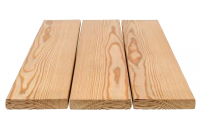 фото Планкен сорт Прима фото Планкен сорт Прима